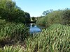 Pond at Goldshöfe.jpg