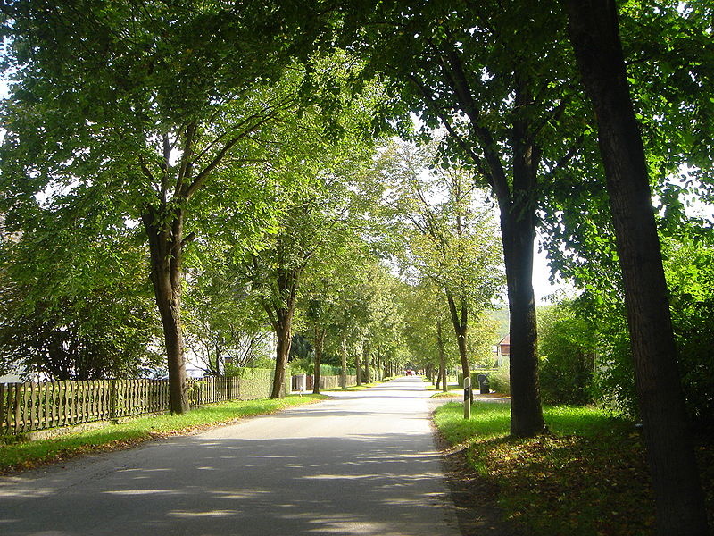 File:Weissmann Balve Avenue.jpg