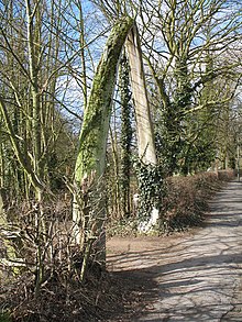 The jawbones of a whale, forming the entrance to Whalebones Park Whalebone Park - geograph.org.uk - 139403.jpg