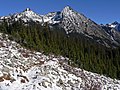 Whistler Mountain 28027.JPG