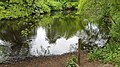 Das Wilde Moor, ehemalige Quelle der Tarpenbek-West