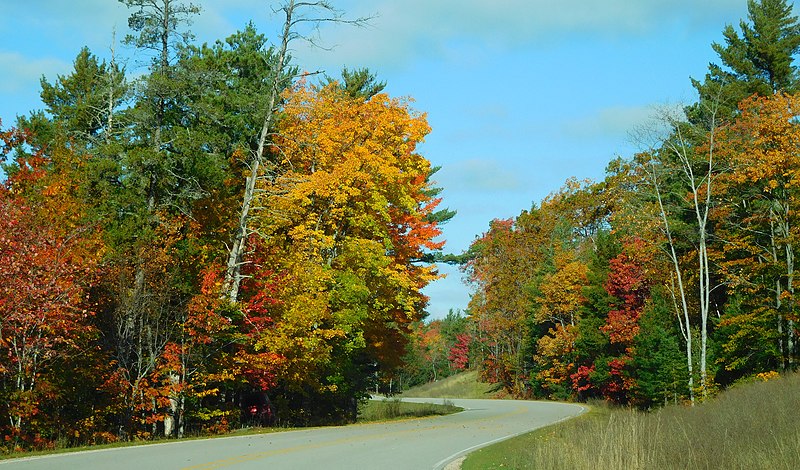 File:Winding Drive of Color.jpg