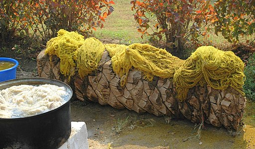 Wool Dyed with Reseda. (1)