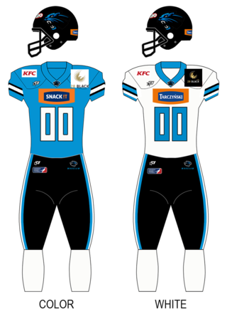 <span class="mw-page-title-main">2022 Panthers Wrocław season</span> American football team in Poland