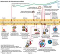 Vorschaubild der Version vom 21:24, 8. Jul. 2015