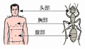 2008年7月24日 (木) 14:08時点における版のサムネイル