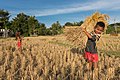 Vignette pour la version du 8 octobre 2019 à 05:05