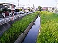 2007年9月23日 (日) 08:47時点における版のサムネイル