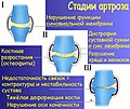 Минијатура за верзију на дан 13:06, 16. децембар 2011.