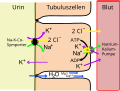 Vorschaubild der Version vom 15:55, 22. Mai 2008