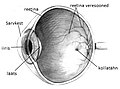 Pisipilt versioonist seisuga 6. detsember 2017, kell 18:15