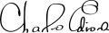 תמונה ממוזערת לגרסה מ־07:32, 21 במרץ 2010