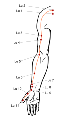 Vorschaubild der Version vom 23:20, 28. Aug. 2013