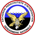  ALFASHIRT Patch EPIGN Escadron parachutiste d'intervention de  la Gendarmerie # 33936 : Clothing, Shoes & Jewelry