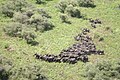 2012年9月19日 (水) 15:16時点における版のサムネイル