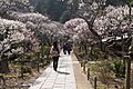 2013年10月16日 (水) 15:49時点における版のサムネイル