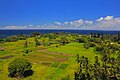 2012年1月14日 (土) 17:04時点における版のサムネイル