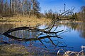 Vorschaubild der Version vom 16:31, 3. Mai 2017