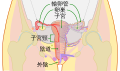 2020年7月22日 (三) 05:25版本的缩略图