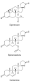 Минијатура за верзију на дан 20:13, 31. мај 2008.