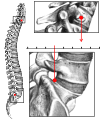 Thumbnail for version as of 18:34, 10 January 2017