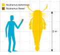 2018年3月3日 (土) 21:41時点における版のサムネイル