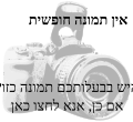 געמינערטע בילד פֿאַר דער װערסיע פֿון דער דאַטע 22:38, 15 יוני 2018