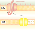 Thumbnail for version as of 04:43, 4 February 2010