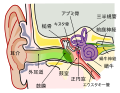 2019年11月3日 (日) 17:00時点における版のサムネイル