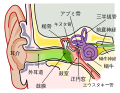 2019年11月3日 (日) 17:01時点における版のサムネイル