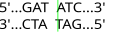 Pisipilt versioonist seisuga 15. jaanuar 2007, kell 18:57