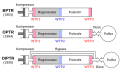 Vorschaubild der Version vom 19:58, 28. Mai 2009