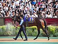 2024年1月14日 (日) 07:41時点における版のサムネイル