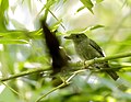 於 2017年8月18日 (五) 16:10 版本的縮圖