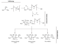 Vorschaubild der Version vom 00:17, 25. Jul. 2010