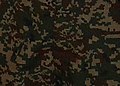 File:RMN Digital Camouflage Pattern.jpg - Wikipedia