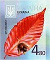 Мініатюра для версії від 03:56, 20 січня 2013