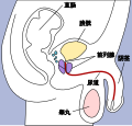 2019年6月18日 (二) 13:14版本的缩略图