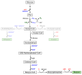 Vorschaubild der Version vom 15:20, 6. Feb. 2010