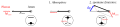 Vorschaubild der Version vom 18:48, 8. Dez. 2010