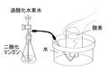 2014年7月22日 (火) 22:08時点における版のサムネイル