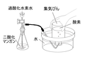 2014年7月22日 (火) 22:41時点における版のサムネイル