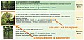 Миниатюра для версии от 23:28, 22 марта 2016