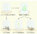 2015年2月2日 (月) 12:08時点における版のサムネイル