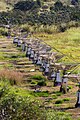 Miniatura da versão das 16h00min de 24 de fevereiro de 2024