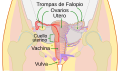 Miniatura de la versión del 21:24 21 jul 2020