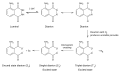 2007年1月10日 (三) 00:04版本的缩略图