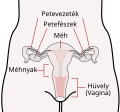 Bélyegkép a 2009. május 26., 08:26-kori változatról