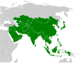 Hình xem trước của phiên bản lúc 13:27, ngày 13 tháng 11 năm 2010