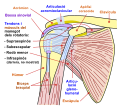 Thumbnail for version as of 22:08, 5 March 2018